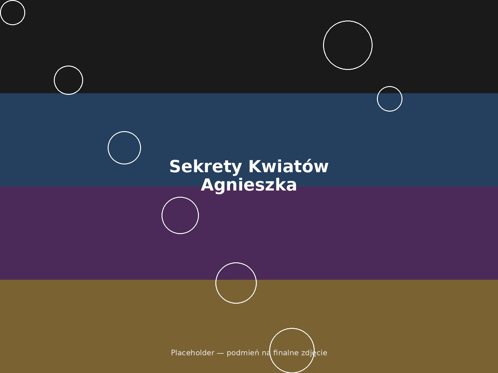 Sekrety Kwiatów Agnieszka Dec