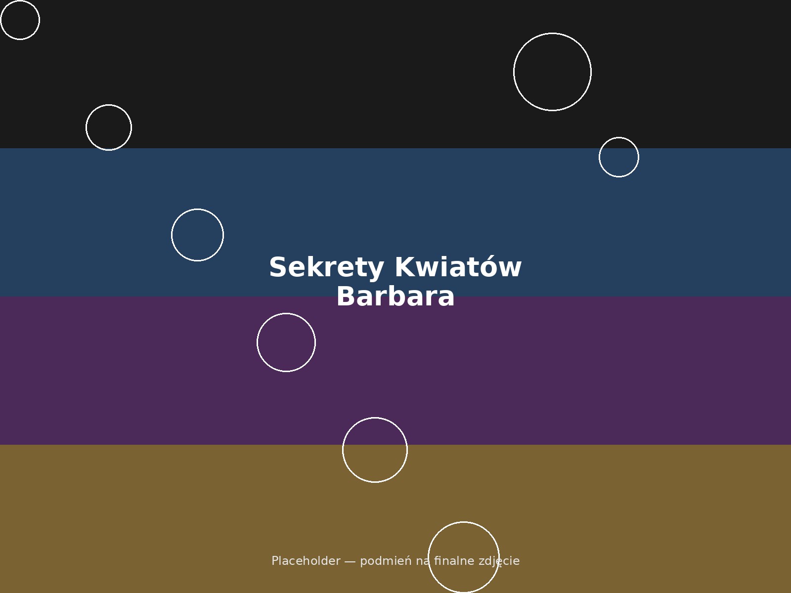 Sekrety Kwiatów Barbara Staroń